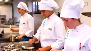 Texto alternativo aquí