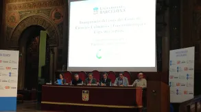 Texto alternativo aquí