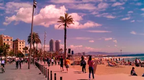 Texto alternativo aquí