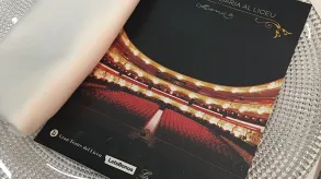 Texto alternativo aquí