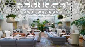 Texto alternativo aquí