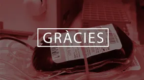 Texto alternativo aquí