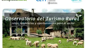 Texto alternativo aquí