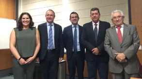 Texto alternativo aquí