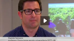 Texto alternativo aquí