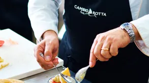 Texto alternativo aquí