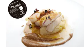 Texto alternativo aquí