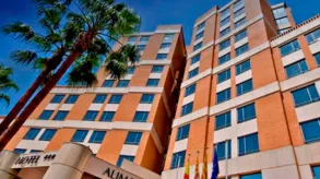 Texto alternativo aquí