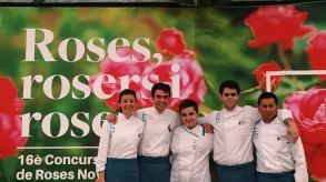 Texto alternativo aquí