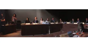 Texto alternativo aquí