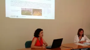 Texto alternativo aquí