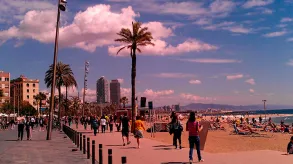 Texto alternativo aquí