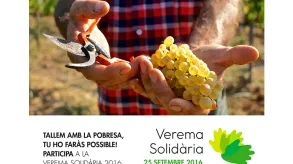 Texto alternativo aquí