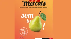 Texto alternativo aquí