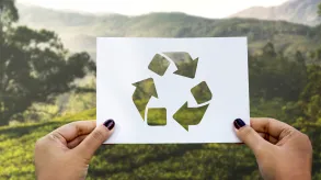 Texto alternativo aquí