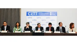 Texto alternativo aquí