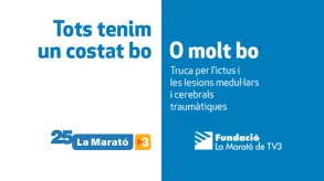 Texto alternativo aquí