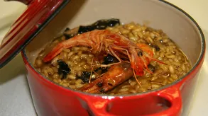 Texto alternativo aquí