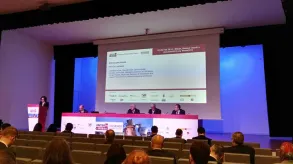 Texto alternativo aquí