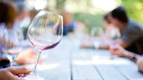 Texto alternativo aquí