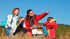 Texto alternativo aquí