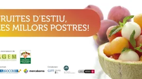 Texto alternativo aquí