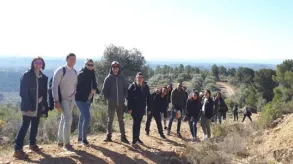 Texto alternativo aquí