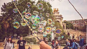 Texto alternativo aquí