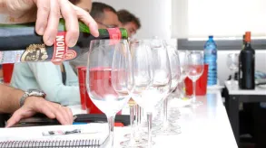 Texto alternativo aquí