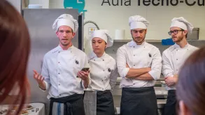 Texto alternativo aquí