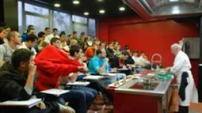 Texto alternativo aquí