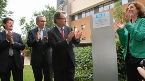 Texto alternativo aquí