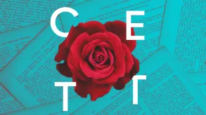 Texto alternativo aquí