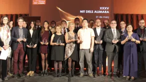 Texto alternativo aquí