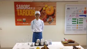 Texto alternativo aquí