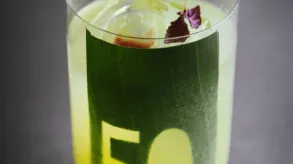 Texto alternativo aquí