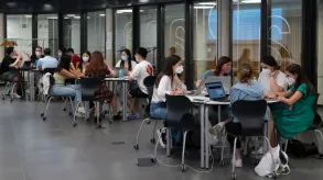 Texto alternativo aquí