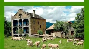 Texto alternativo aquí