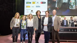 Texto alternativo aquí