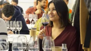 Texto alternativo aquí