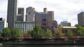 Texto alternativo aquí