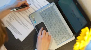 Texto alternativo aquí