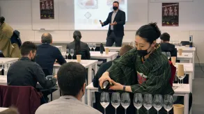 Texto alternativo aquí