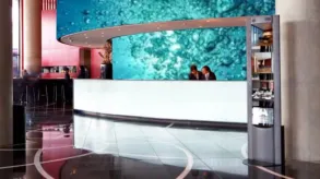 Texto alternativo aquí