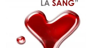 Texto alternativo aquí