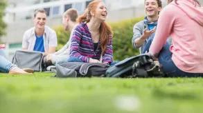 Texto alternativo aquí