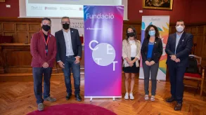 Texto alternativo aquí