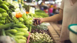 Texto alternativo aquí