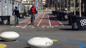 Texto alternativo aquí