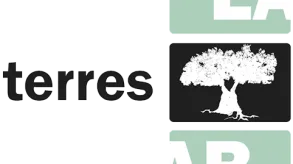 Texto alternativo aquí